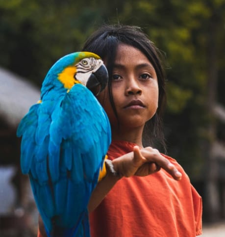 Yasuni National Park